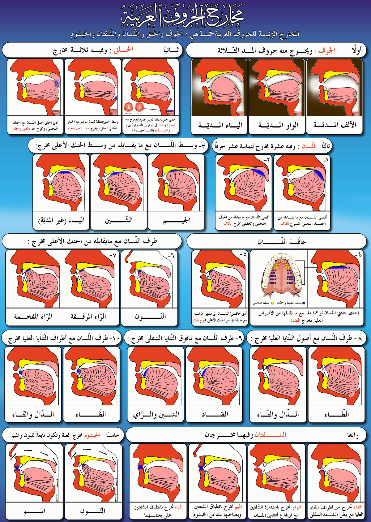 Islam.ms - Les Points de Prononciation des Lettres Arabes